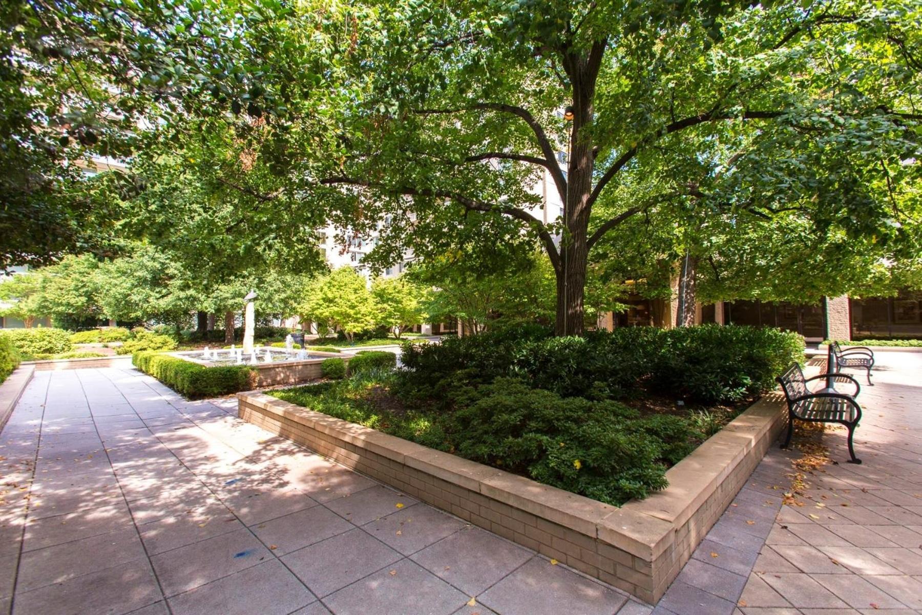 Fantastic 2 Bedroom Apartment With Gym At Arlington Exterior photo